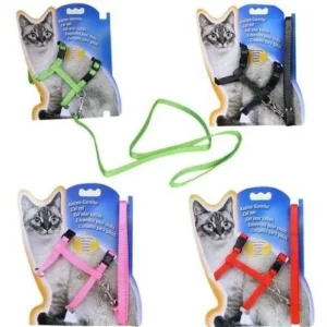 Cat Belt Harness
